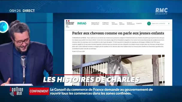 Selon une étude, pour qu'un cheval vous comprenne, il faut lui "parler bébé". On vous explique