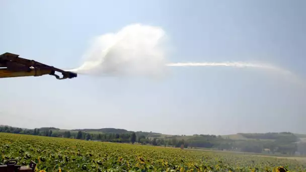 «C'est ubuesque» : bras de fer entre les autorités et les agriculteurs autour de l’irrigation dan…