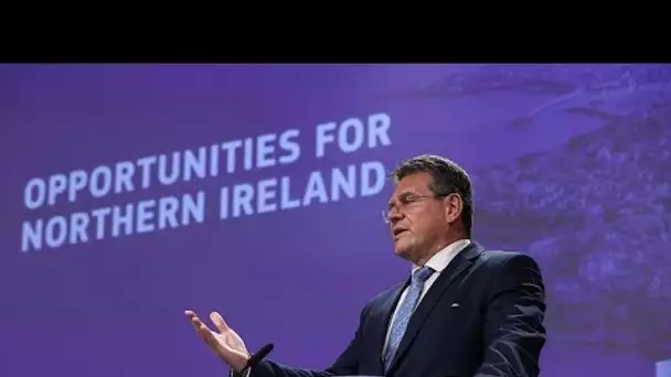 Brexit : la Commission propose des allègements pour les denrées à destination de l’Irlande du Nor…