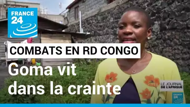 Combats en RD Congo : dix ans après, "les mêmes rebelles, les mêmes protagonistes" • FRANCE 24