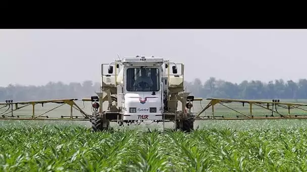 La Commission européenne propose la prolongation du glyphosate pour une durée de 10 ans