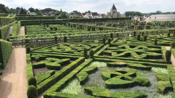 Coronavirus : des mesures sanitaires pour rouvrir les châteaux de Cheverny et Villandry