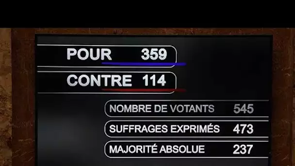 PMA pour toutes : les députés français adoptent le projet de loi bioéthique