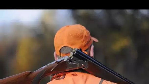 Interdiction de la chasse le week-end : les chasseurs en colère après la proposition...