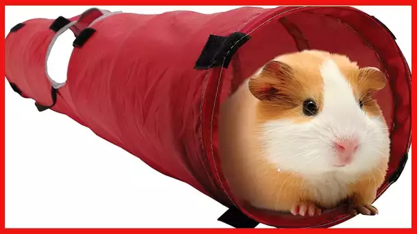 Living World Pet Tunnel, Red/Grey, Medium