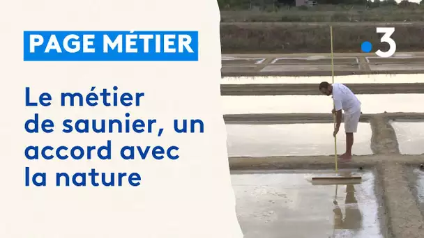 Page Métier : Être saunier