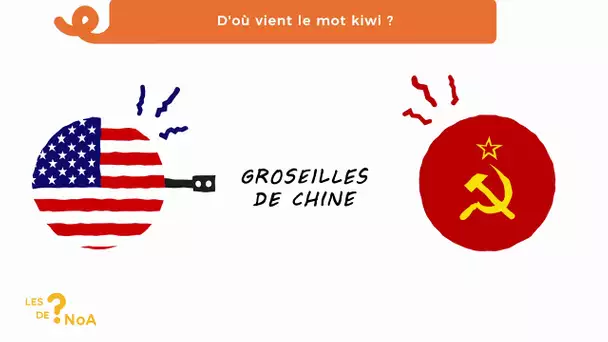 Les ? de Noa #74 : d'où vient le mot kiwi ?