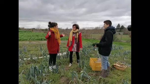 Pauline vous embarque à la découverte d'un maraîcher vegan en Indre-et-Loire