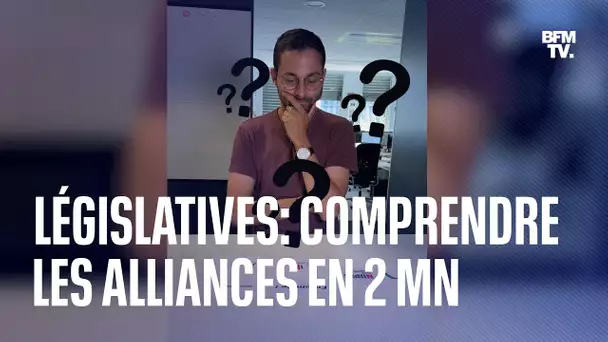 Ensemble!, Nupes... Deux minutes pour y voir plus clair sur les alliances aux législatives