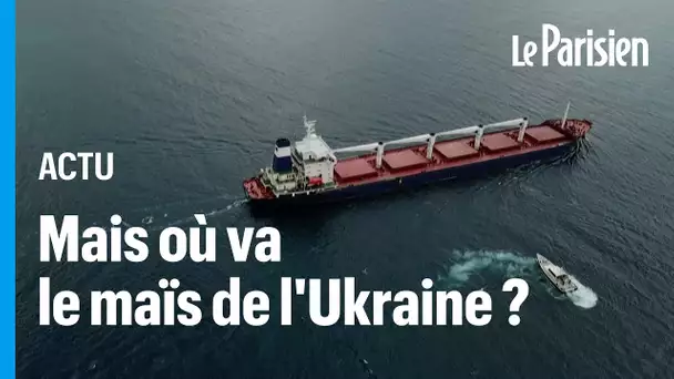 Le Razoni ne « se rend plus plus au port de Tripoli » : mais où va le navire et son maïs ukrainien ?