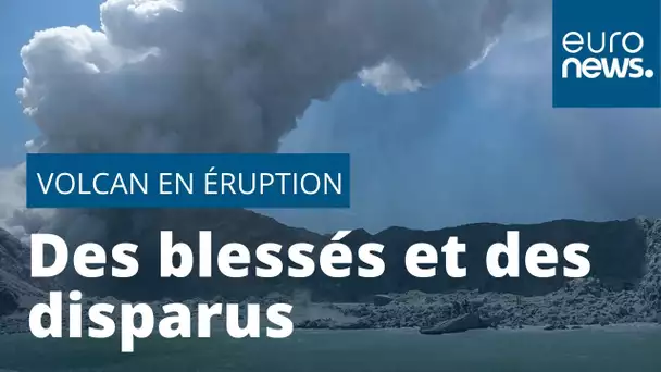 Nouvelle-Zélande : des touristes marchent sur un volcan quand il entre en éruption, des disparus