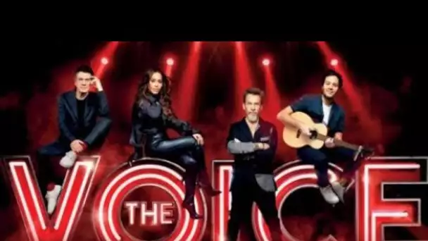 The Voice : quand la saison-anniversaire sera-t-elle diffusée ?