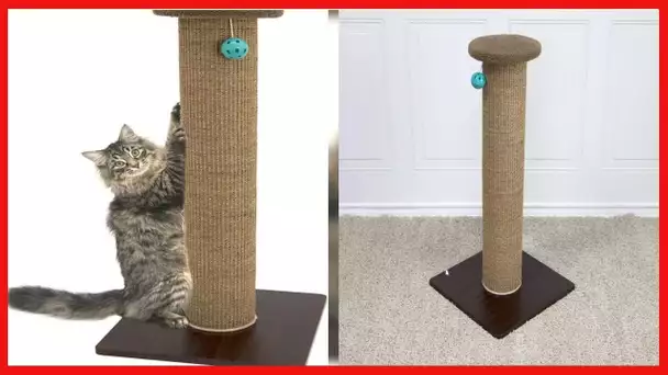 Kitty City Premium Woven Sisal Scratching Collection, Scratching Post, Perch Cushion