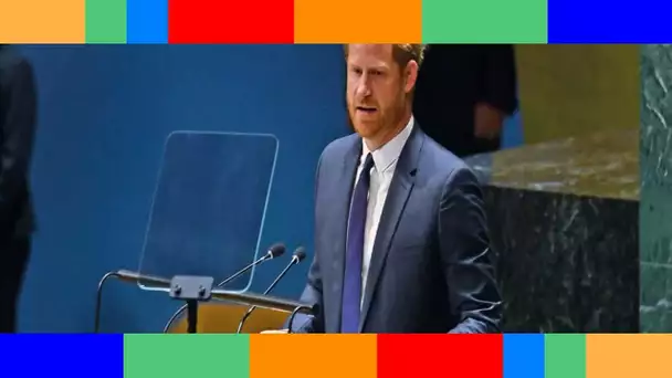 Le prince Harry “débraillé” et “miteux” : son look à l’ONU fait grincer des dents… :