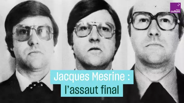 Jacques Mesrine : l'assaut final