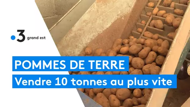 Compte à rebours : ils doivent vendre 10 tonnes de pommes de terre bio en moins de deux mois