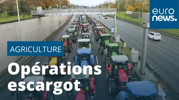 Les agriculteurs en détresse bloquent Paris