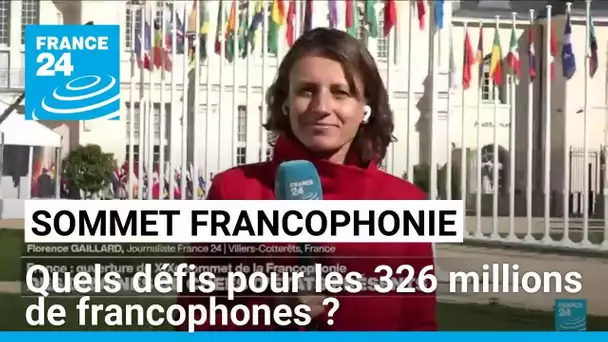 Ouverture du XIXe sommet de la Francophonie : des dizaines de chefs d'États présents • FRANCE 24