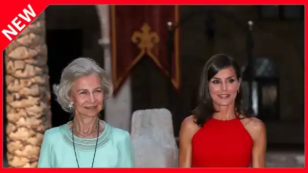 ✅  Letizia d’Espagne vs la reine Sofia : ce livre qui va raviver les tensions