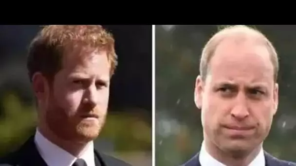 Le prince Harry "a commencé à se sentir marginalisé" par le prince William à cause du traitement en