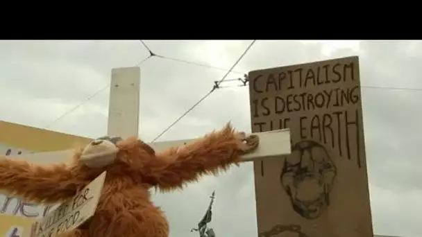 "Extinction Rébellion" : des jeunes militants sur la Place Royale à Bruxelles