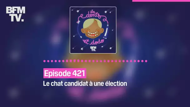 Les dents et dodo - Episode 421: le chat candidat à une élection