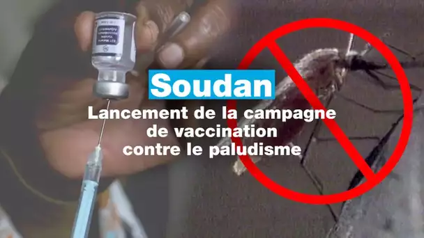 Le Soudan lance sa campagne de vaccination contre le paludisme • FRANCE 24