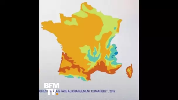 Climat : à quoi va ressembler la France en 2050, avec 2°C de plus?