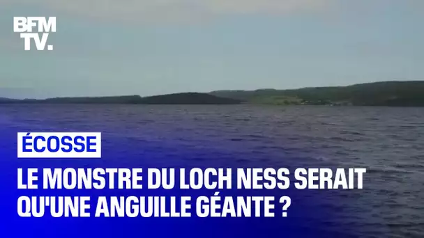 Et si le monstre du Loch Ness n'était qu'une anguille géante ?