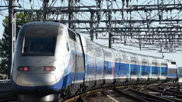 Le combat d’arrière-garde des écolos contre le TGV