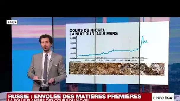 La folle flambée des cours du nickel • FRANCE 24