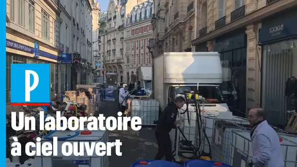 Une pharmacie parisienne fabrique 10.000 litres de gel hydroalcoolique par jour