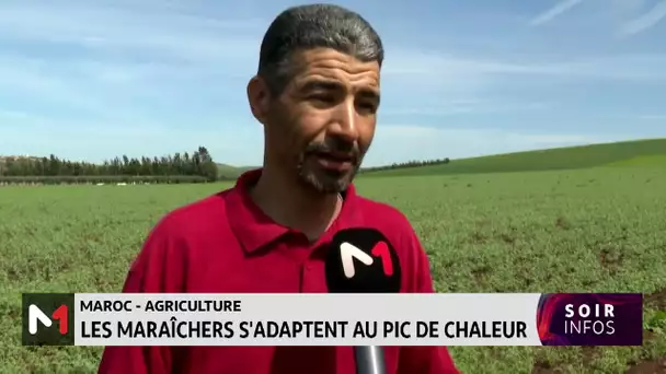 Maroc - Agriculture: Les maraîchers s´adaptent au pic de chaleur