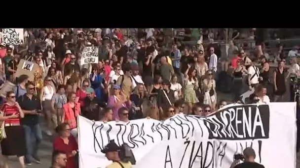 Les Slovaques descendent dans la rue après une série de remaniements des institutions culturelles