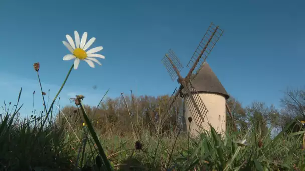 Itinéraire bis à Villefagnan en Charente