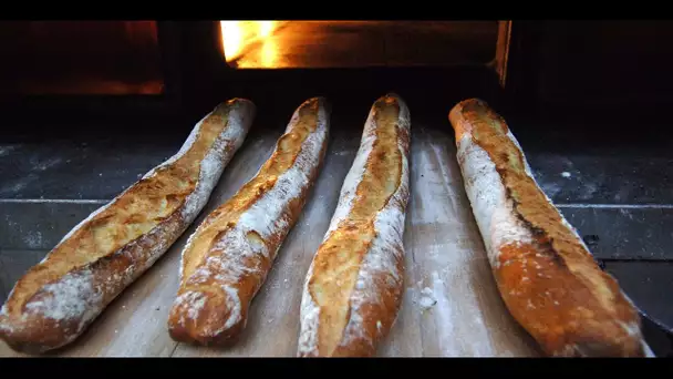 Prix de la baguette : le spectaculaire phénomène de «panurgisme journalistique»