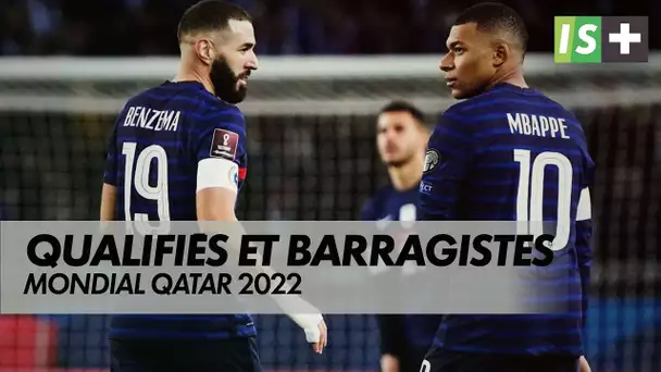 Les qualifiés et les barragistes pour le mondial 2022