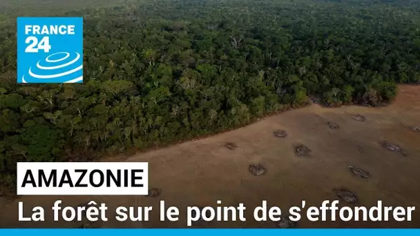 Déforestation en Amazonie: elle ralentit mais pas assez • FRANCE 24