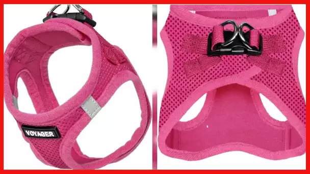 Voyager Step-in Air Dog Harness - All Weather Mesh Step in Vest Harness for Small and Medium Dogs