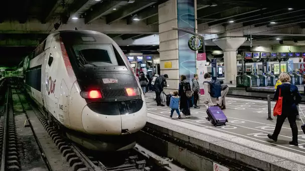 Grève du 19 janvier : trains, métros, avions... Les prévisions pour la journée de mobilisation