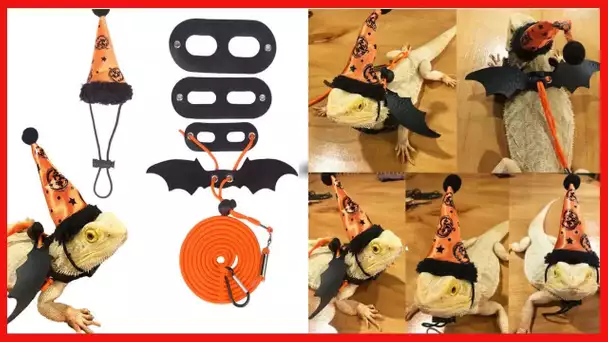 ADOGGYGO Halloween Bearded Dragon Lizard Leash Harness Hat Set - Bearded Dragon Clothe Halloween