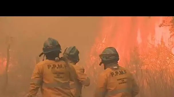 Argentine : la province de Cordoba en proie à des incendies