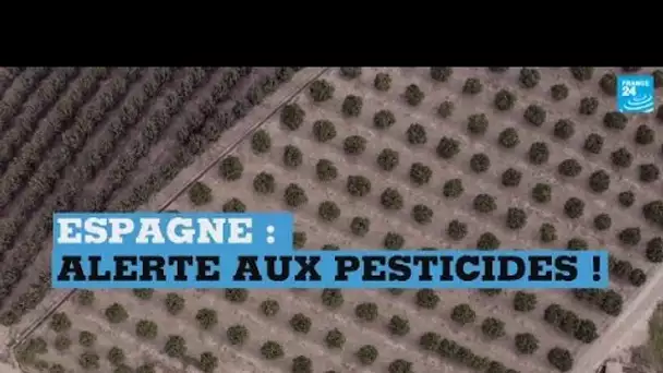 Espagne : alerte aux pesticides !