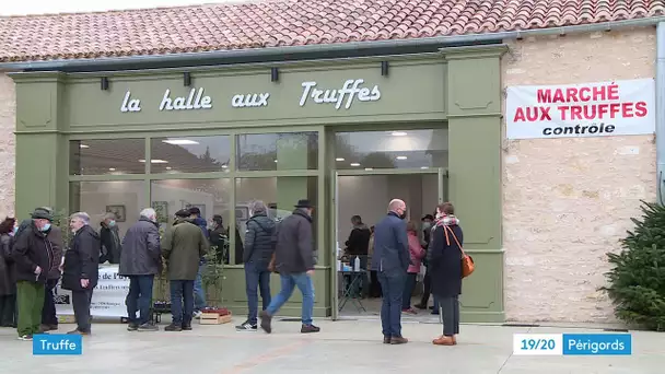 Truffe : une nouvelle halle spécialement dédiée au diamant noir à Sorges