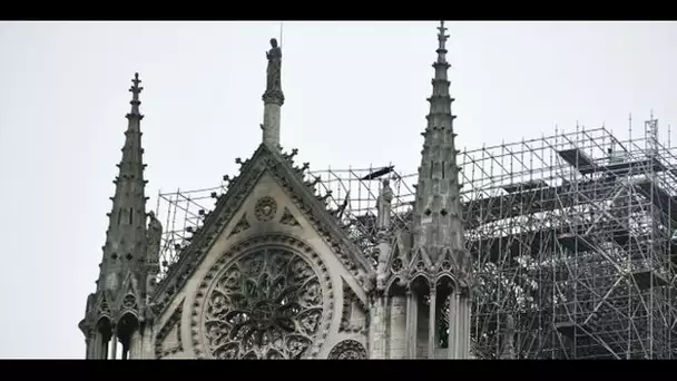 La reconstruction de Notre-Dame "est vraiment l'occasion de faire des chantiers école"