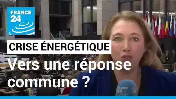 L'UE tente de trouver une réponse commune à la crise énergétique • FRANCE 24