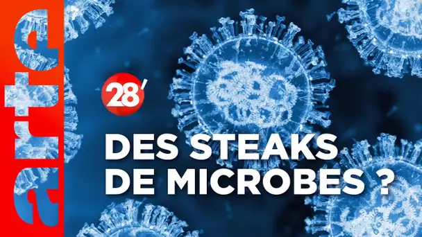 Intéressant : Les microbes peuvent-ils remplacer la viande ? - 28 minutes - ARTE