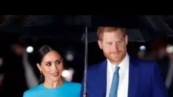 L'horaire de travail de Meghan et Harry "se compare difficilement" avec le travail quotidien des mem