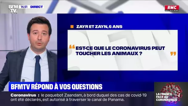 Est-ce que le coronavirus peut toucher les animaux ? BFMTV répond à vos questions