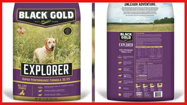 Black Gold Explorer Super Performance Recipe 32/21 Dry Dog Food